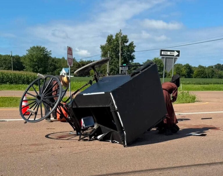 18-Wheeler Destroys Amish Buggy On Tennessee Highway — Everyone Survives