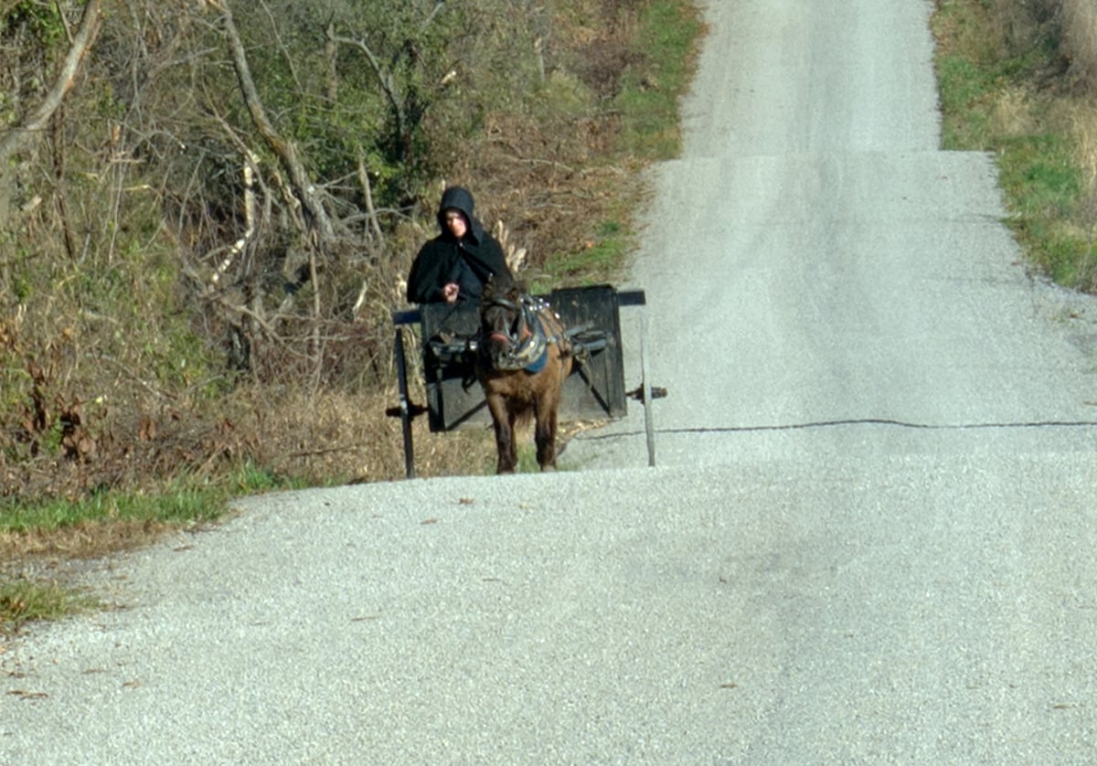 Amish woman driving an open horse-drawn cart on a gravel road