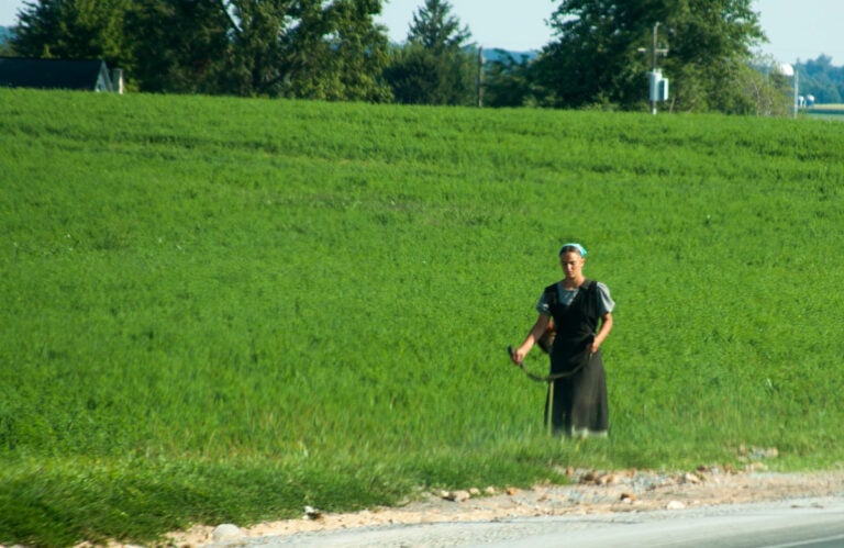 Amish Woman Used A Weed Whacker To Scare Off Man With Knife & Handcuffs In Attempted Kidnapping