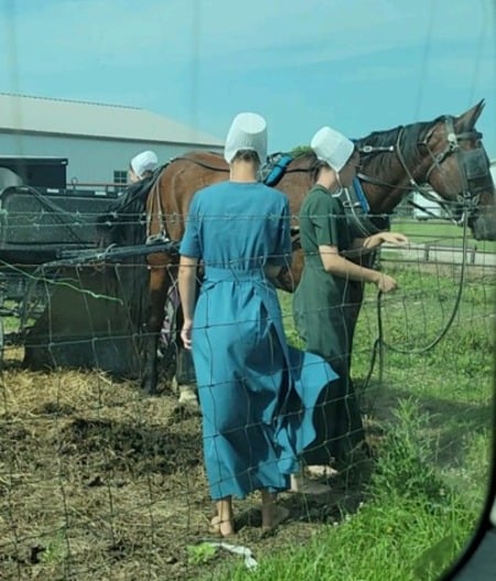 Two young Amish women hitching their horse to a fence at the auction