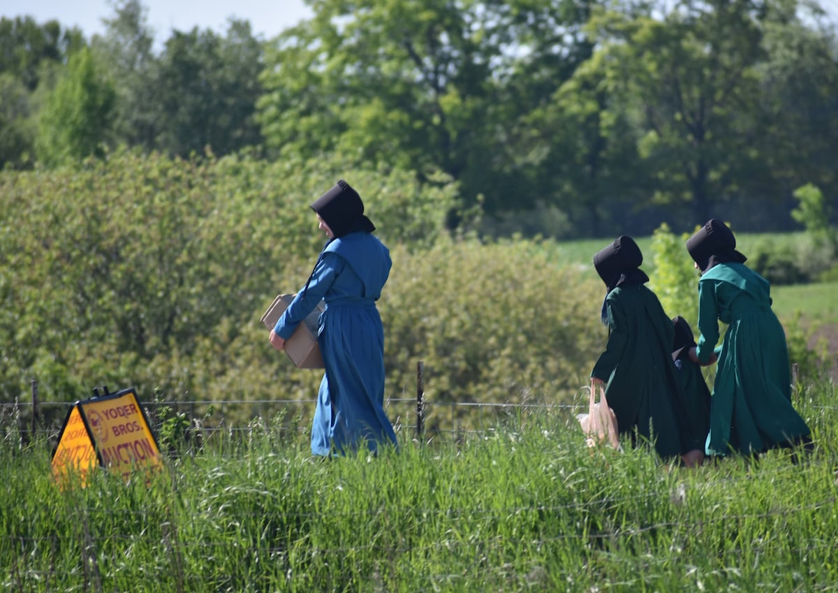 Amish women and girls in blue and green dresses walking through tall grass carrying boxes and bags with Yoder Bros auction sign in foreground