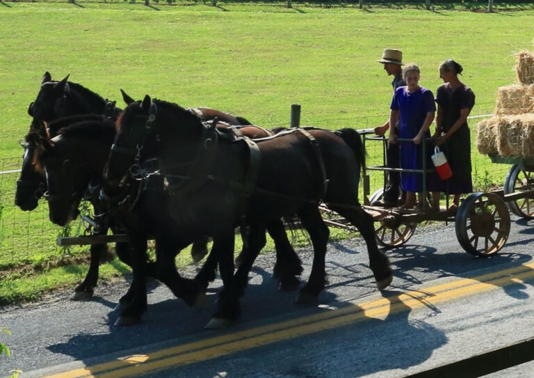 Amish Girl Dies After Being Run Over By Wagon Loaded With Corn (Wisconsin)