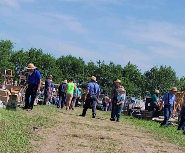 Amish men, women and children walking the auction grounds