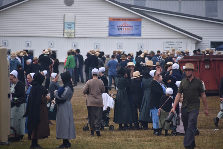 Scenes From A Big Amish Auction (15 Photos)