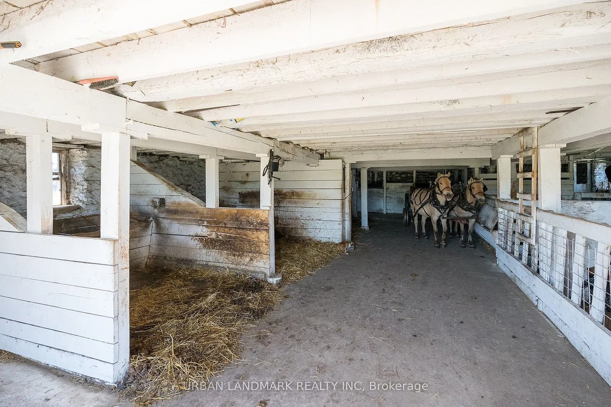 Horses in the barn on an Ontario Amish farm Whitewashed barn stable with harnessed team of horses on an Amish farm near Stirling, Ontario