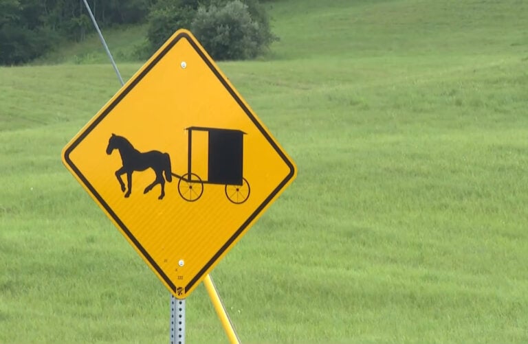 Trade The Amish For Data Centers? Residents At Township Meeting Fear Where This Could Lead