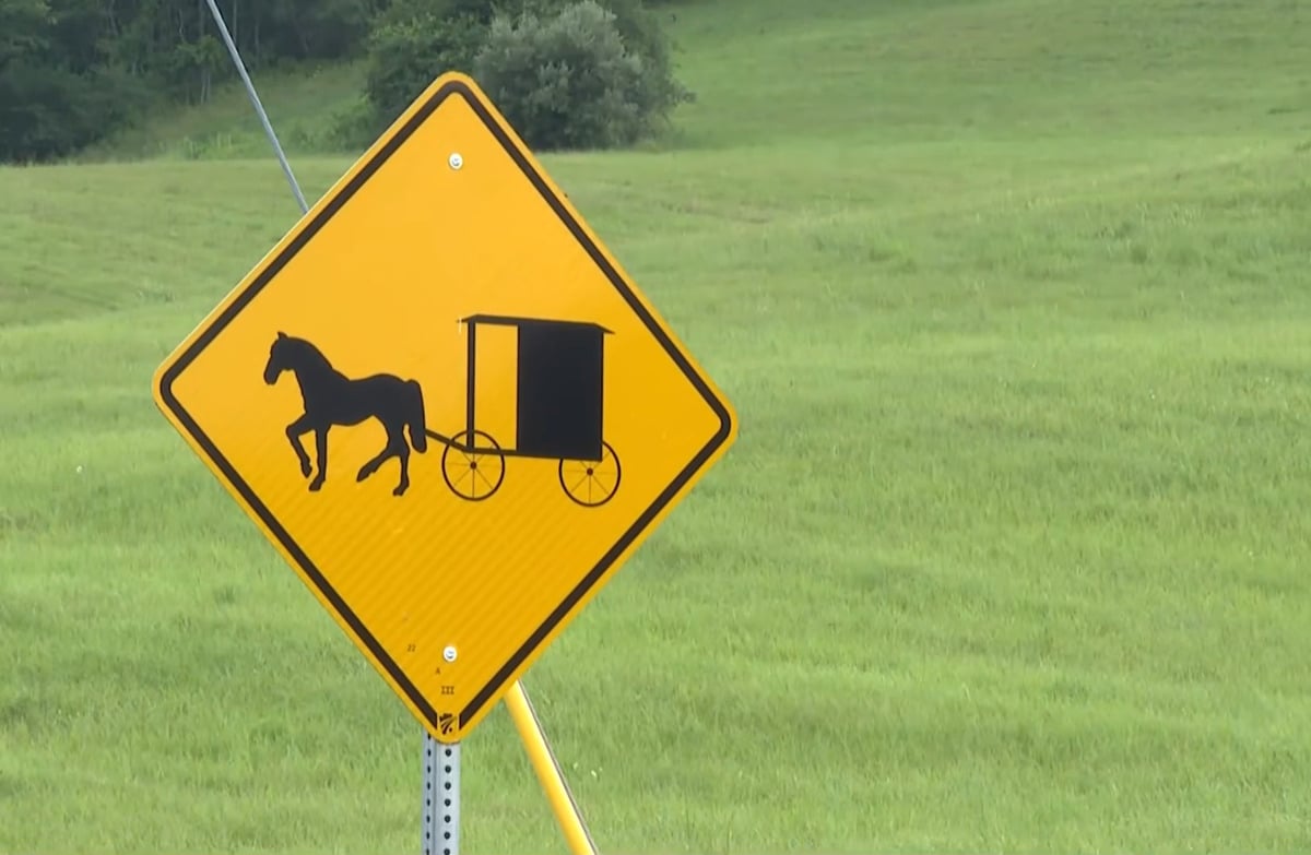 Amish buggy road warning sign against a green hilly field