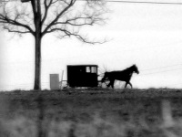 Black and white profile of carriage
