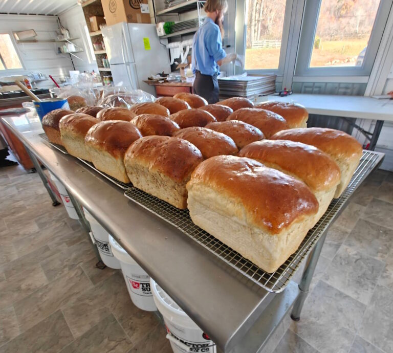 West Virginia Amish Market Thrives Despite Raw Milk Law