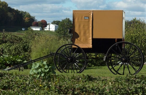 Old brown-covered wagon with black spoked wheels parked on a grassy field in a rural setting.