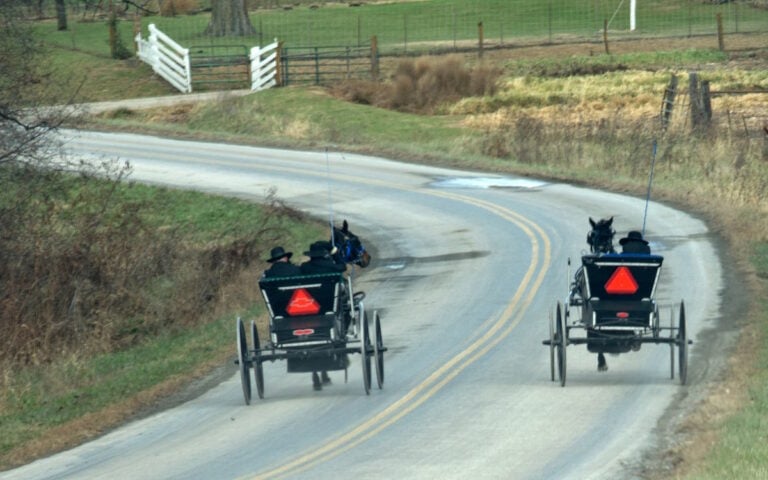 I Witnessed An Actual Amish Buggy Race (27 Photos)