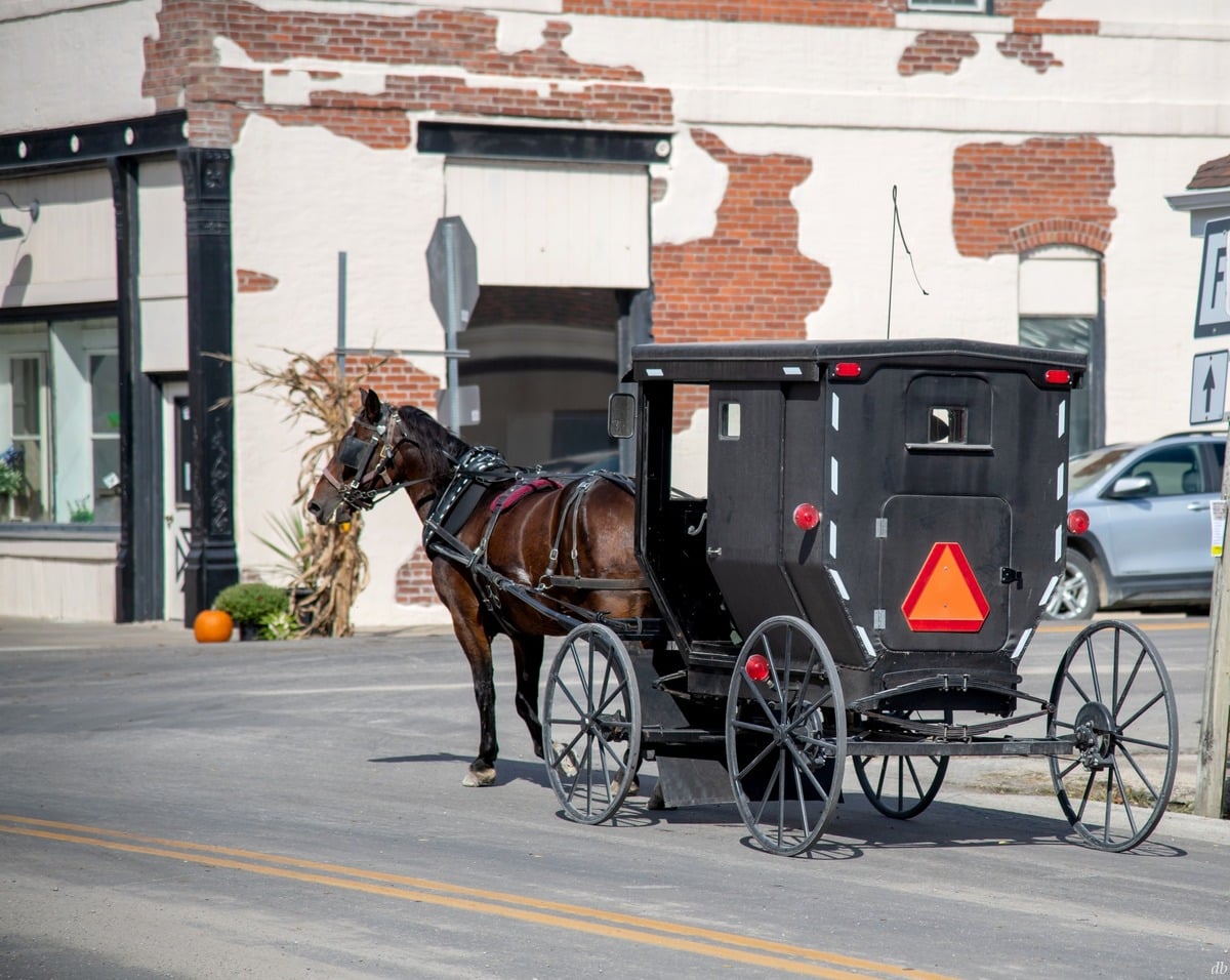 Amish buggy in downtown Jamesport, Missouri