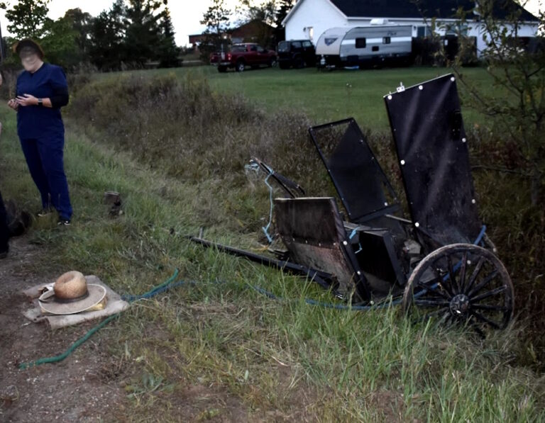 70-Year-Old Amish Man in Hospital After Buggy Wreck; Sun Glare Likely A Factor in Crash (Michigan)