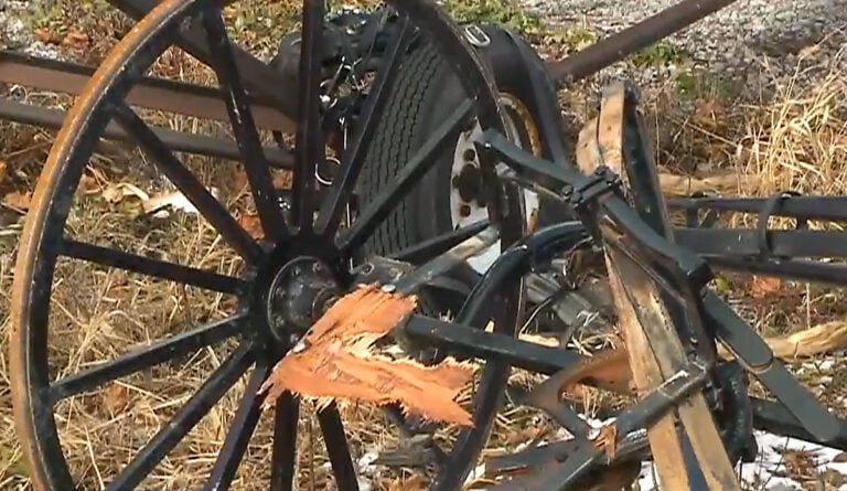 Amish Woman Killed, Toddler And Teen Airlifted After Pickup Rear-Ends Buggy On Ohio Highway