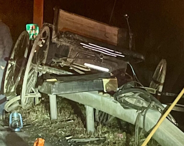 Amish Buggy Somehow Ends Up On Guardrail After Wreck. Driver Was “Following Too Closely”