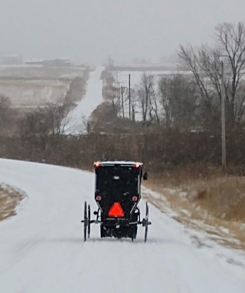 A Place to Stay: How One Child Found A Home Among the Amish