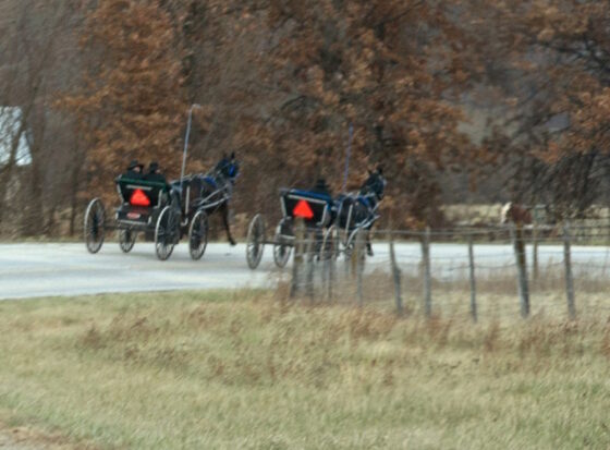 Amish Racing I Witnessed An Actual Amish Buggy Race (27 Photos) - Amish America