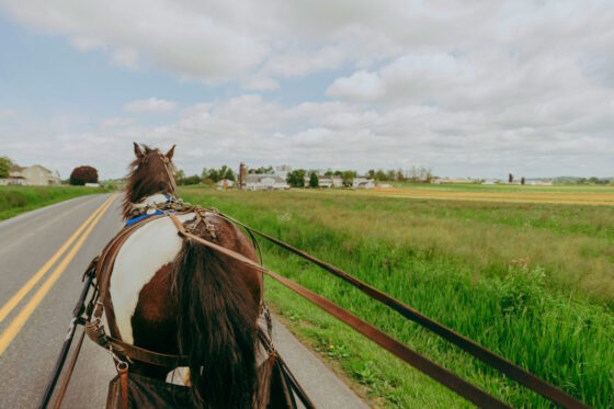 Lancaster County: 10 Amish Country Tours & Experiences For Your Visit ...