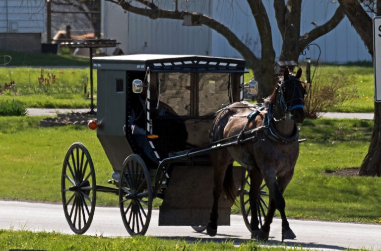 Amish 15-Year-Old Ejected From Buggy In Missouri Crash