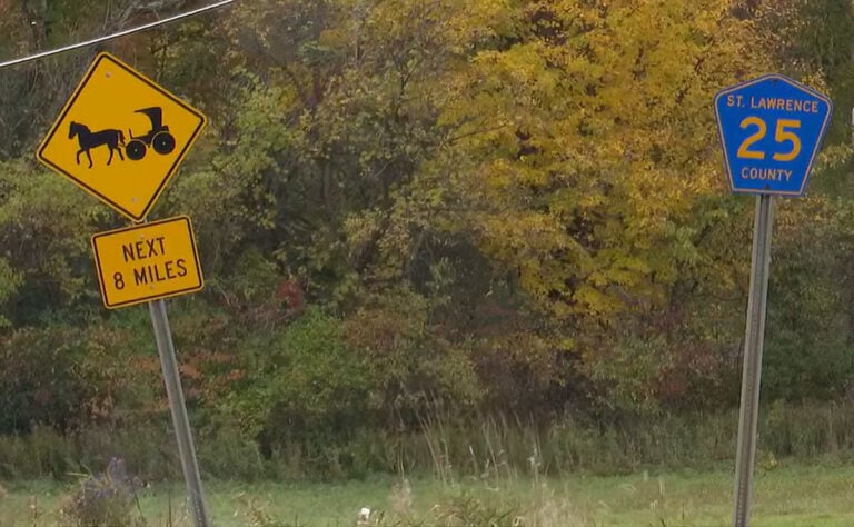 One Amish Woman Still In Intensive Care, Another Lost Her Baby After Deadly Buggy Crash — Now Neighbors Want Changes