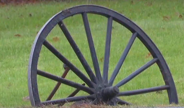 “Sneezing Fit” Blamed For Crash That Kills 1 Amish Woman, Seriously Injures 4 Others