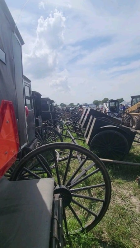 Buggy and wagon frames lined up in rows at the auction