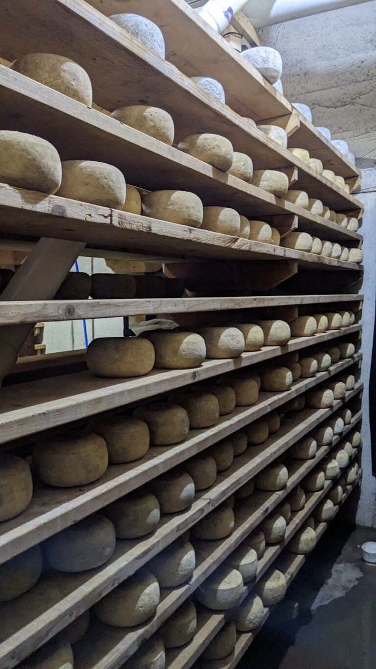 Goot Essa Cheese Giveaway (Plus: A Closer Look at Cheese Caves) - Amish ...