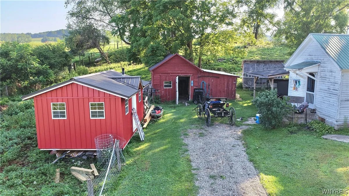 Red barn and shed behind the Amish home with an open buggy parked on the grass