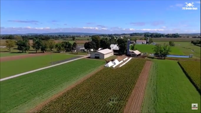 Amish Corn Harvest From Above (Video)