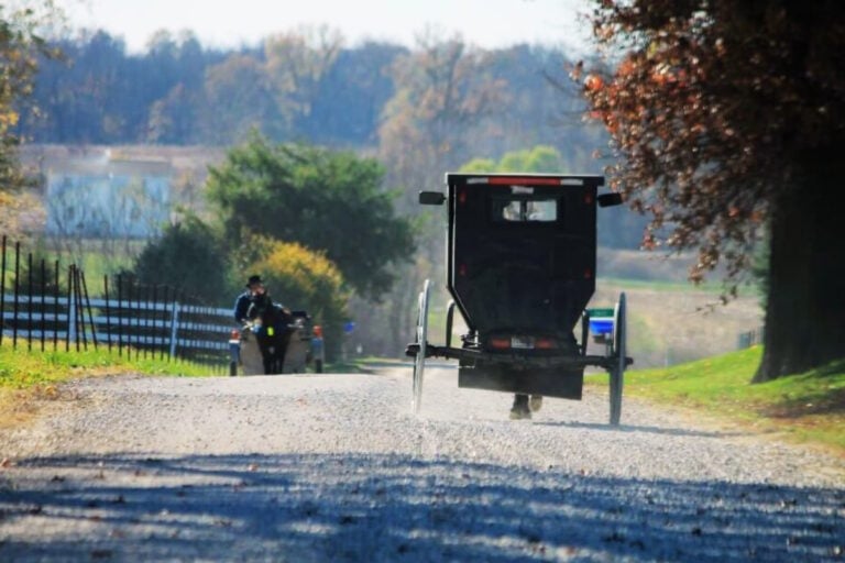 Indiana Has Over 67,000 Amish — Here Are the 10 Biggest Communities ...