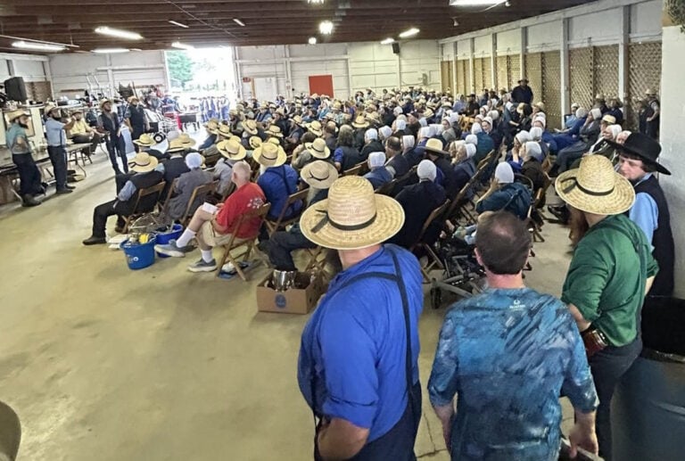 Amish Auction Raises 6 Figures For A Genetic Clinic They Founded — Another Happens Next Week