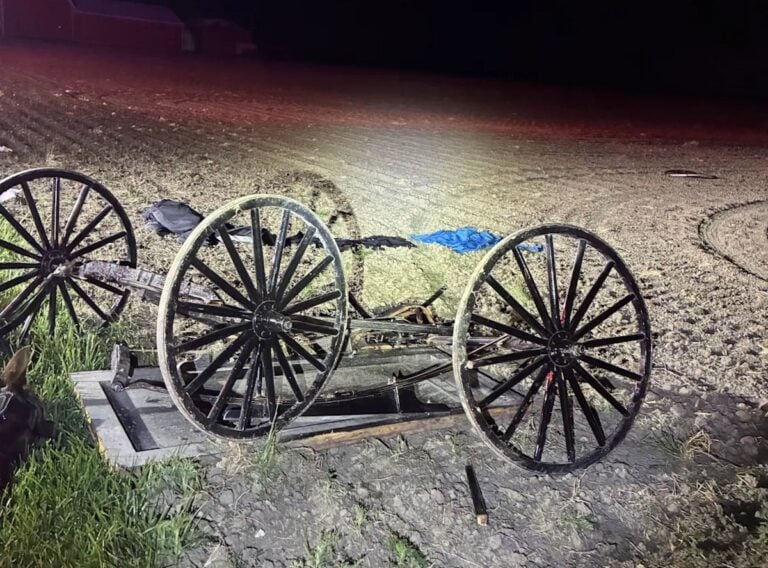 16-Year-Old Amish Girl Killed When Semi Rear-Ends Buggy On Indiana State Road