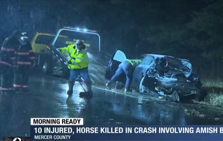 Car Hits Amish Buggy “Head-On”; 10 Injured, Horse Put Down (UPDATED: Driver’s Father Explains How The Accident Happened & Update On The Family)