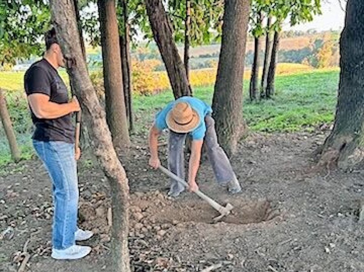 Digging out the site for the new Shrock Cemetery marker near Walnut Creek, Ohio Two men preparing a spot for a cemetery marker among trees at the edge of a pasture, one digging with a mattock