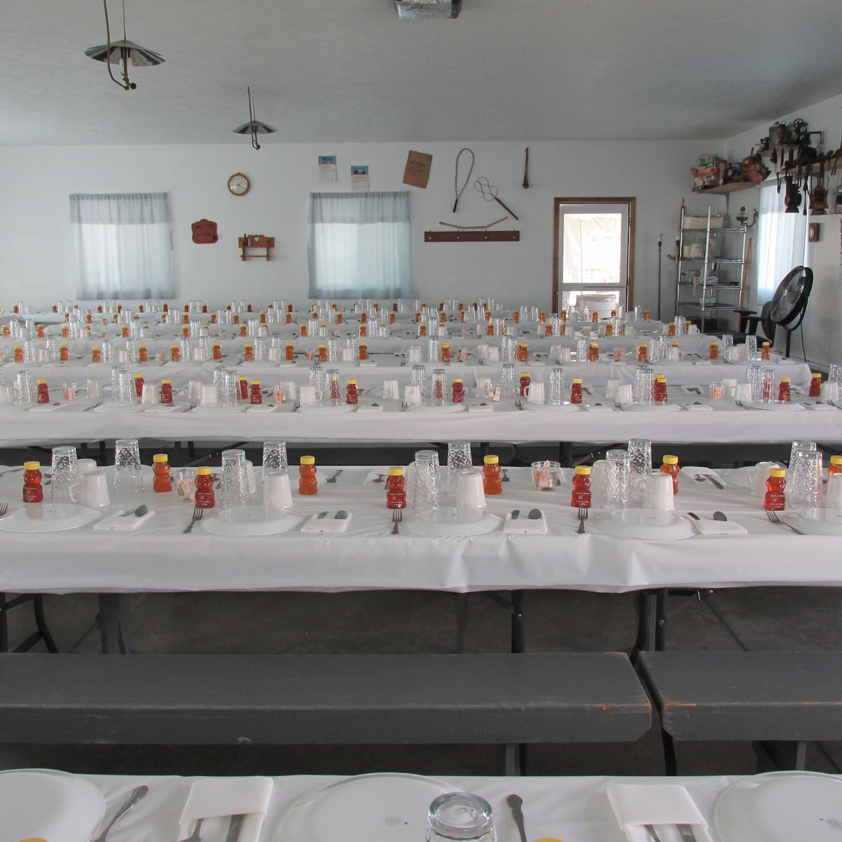 Rows of tables set for an Amish wedding lunch with honey bear favors at each place