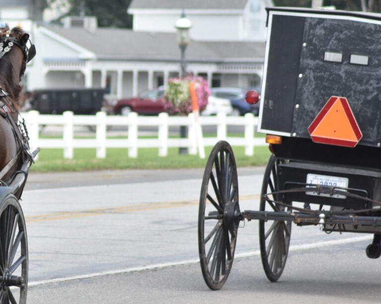 Driver Distracted By Notebook Hits Amish Buggy — 11-Year-Old Suffers Skull Fracture