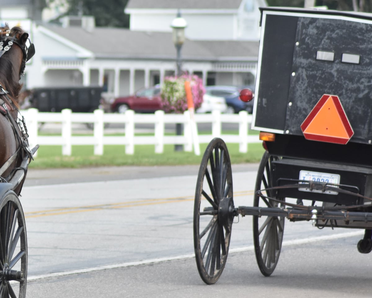 Amish horse and buggy seen from behind on a road, with orange SMV triangle and rear reflectors visible