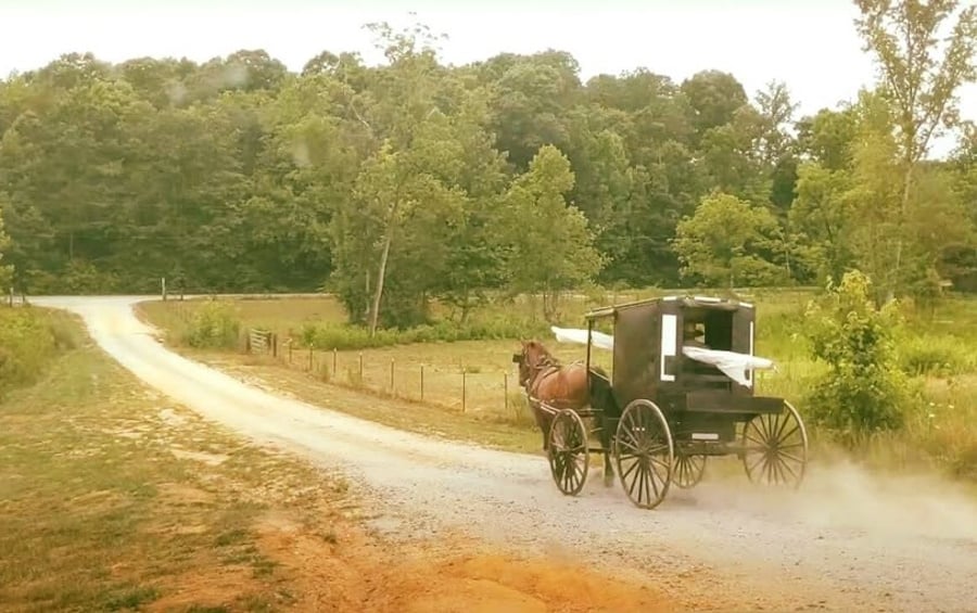 Amish buggy going down a gravel drive kicking up dust