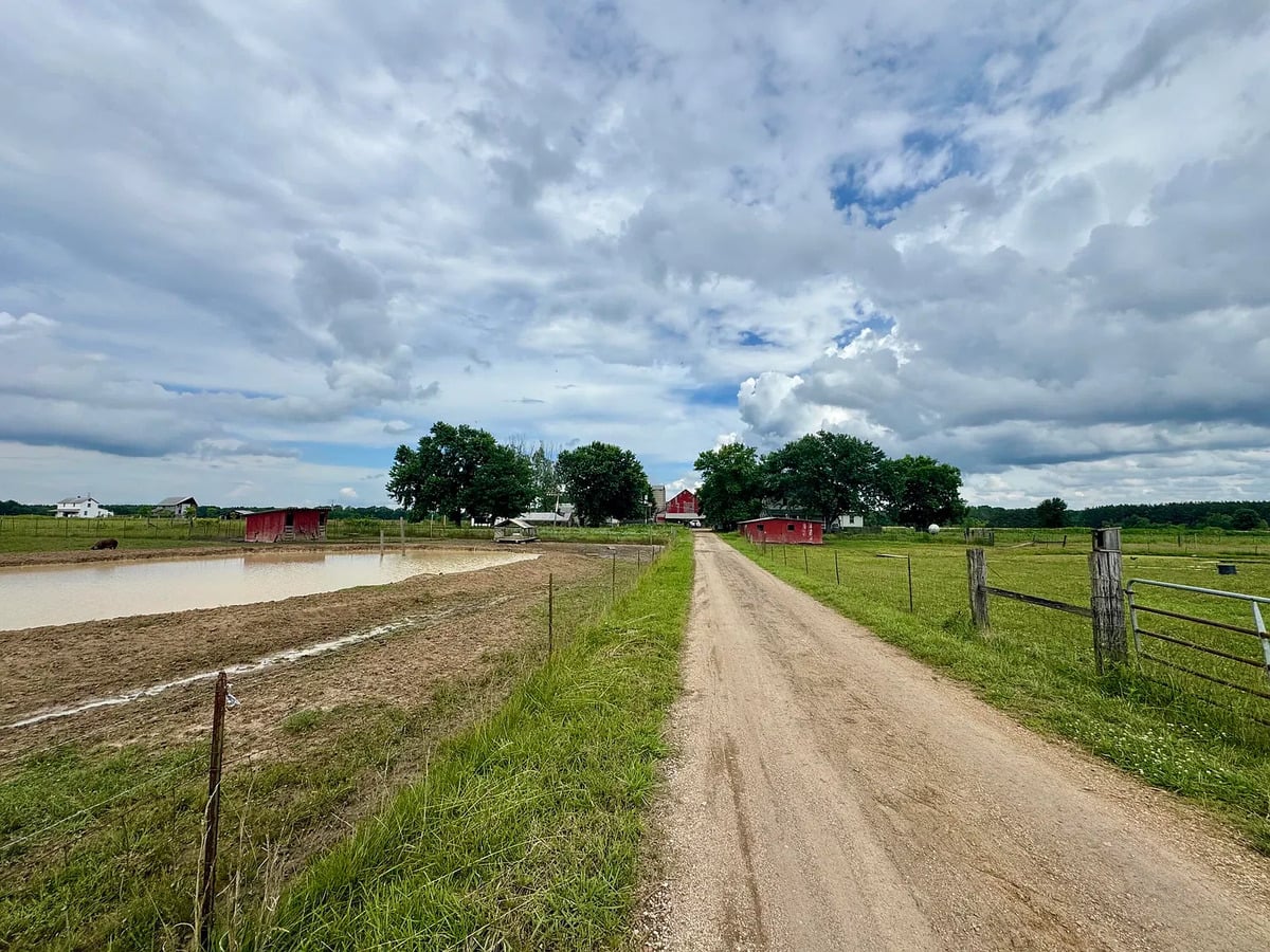 Dirt farm lane with stock pond and red sheds leading to Amish farmstead in Randolph, Mississippi