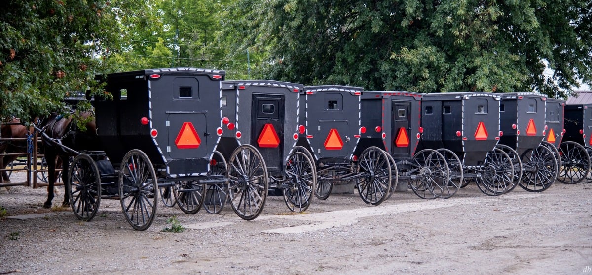 Buggies lined up at the community supper