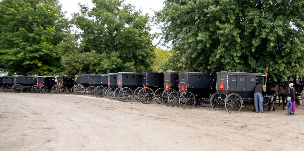Long row of buggies at the community supper