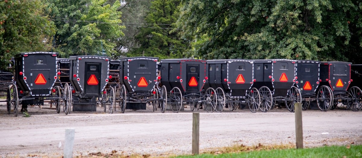 Buggies parked at the Jamesport Fire and Rescue community supper
