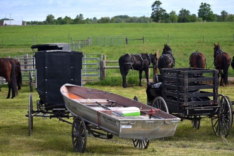 Pickup Hits Amish Buggy Pulling a Boat Before Dawn — Horse Killed, Five Injured