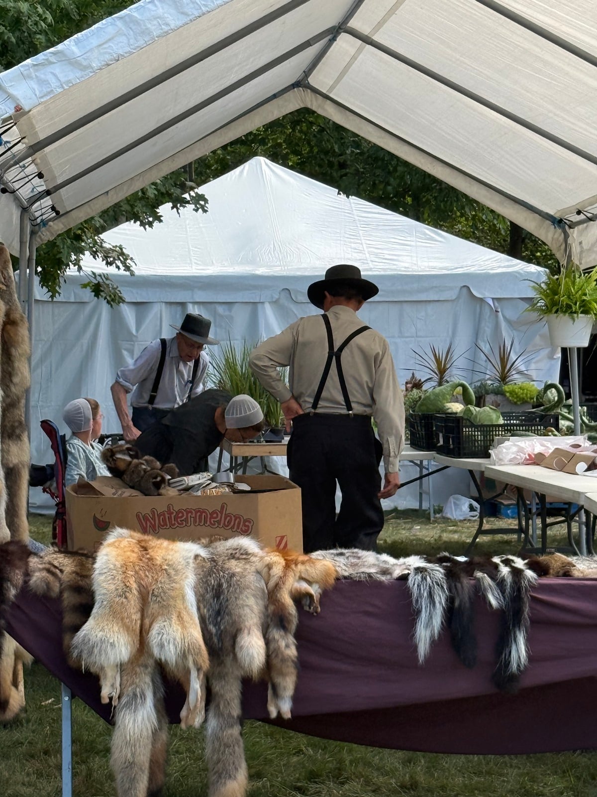 Fur pelts on a vendor table at Rentown Old Fashion Days