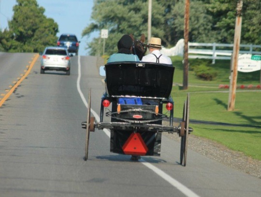 Geauga Amish Couple