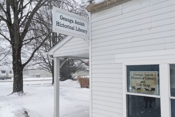 A Southern Yankee Meets Amish Winter and Lives to Tell the Tale (17 ...