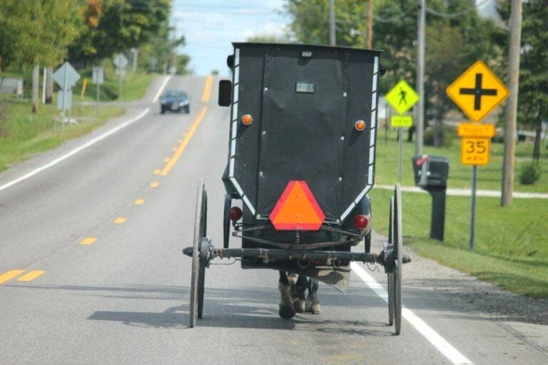 Pickup Driver Hits Buggy Full Of Amish Teens & Flees — Leaving Two Seriously Injured And A Dead Horse (UPDATED)