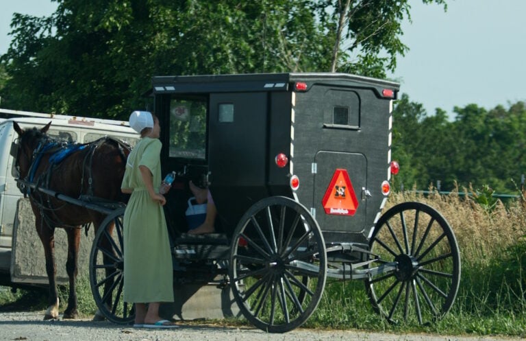 I Grew Up Riding in a Buggy — The Differences Between 3 Common Types