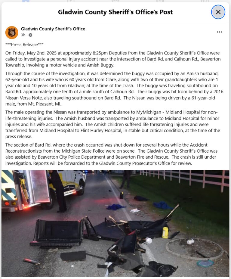 Two Amish Girls in Critical Condition After Another Michigan Buggy ...