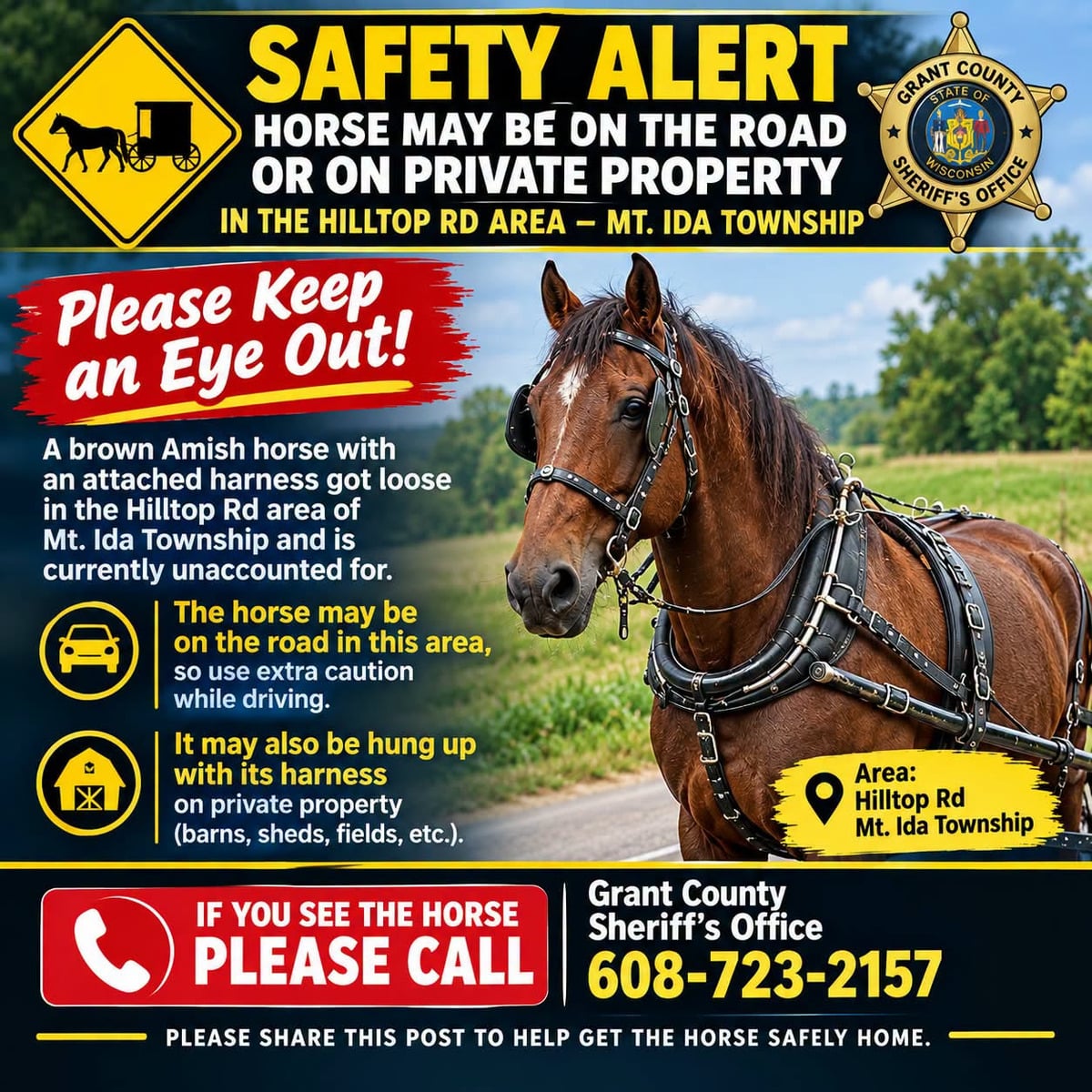 Grant County Sheriff's Office alert for a runaway Amish horse in Mount Ida Township, Wisconsin